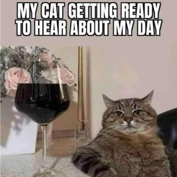 CLOSING TO TRAVEL! - Picture 9 of 9